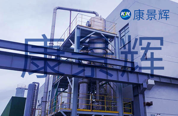 50kg/h的高鹽廢水蒸發結晶