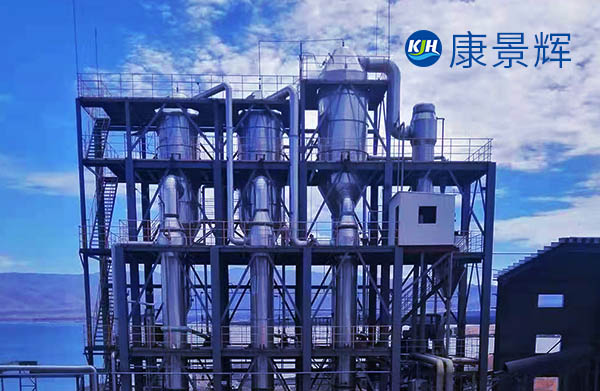 3t/h丁二酸三效蒸發器